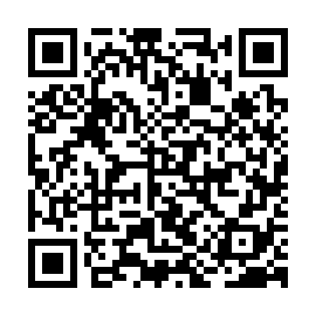 QR code for BIV378