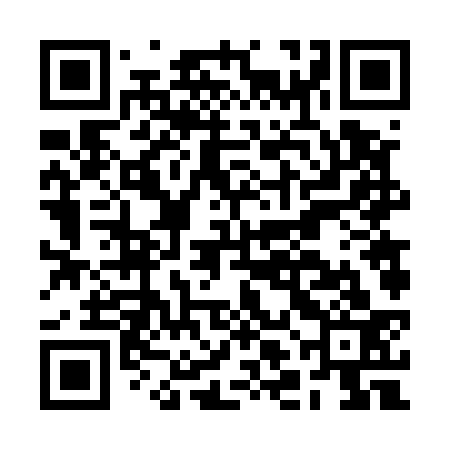 QR code for BLF533