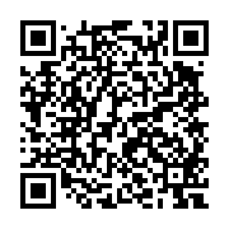 QR code for BLO489