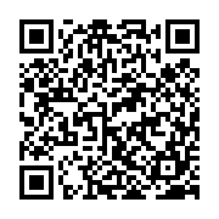 QR code for BLU454