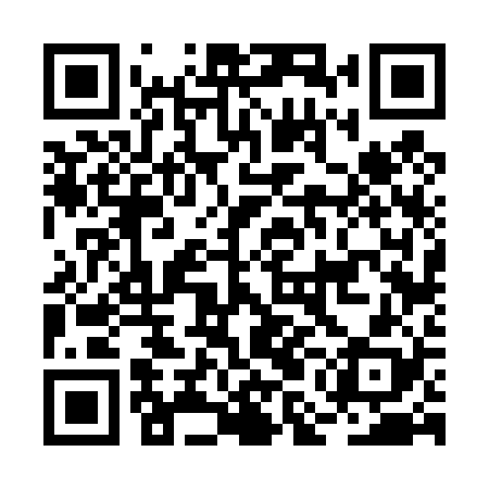 QR code for BMF428