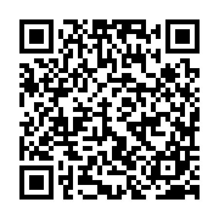 QR code for BMJ307