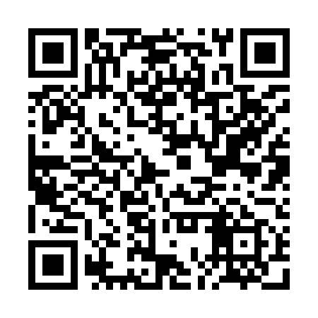 QR code for BOR959