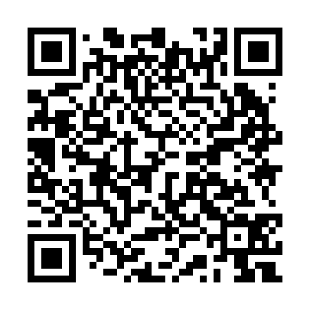 QR code for BSI234