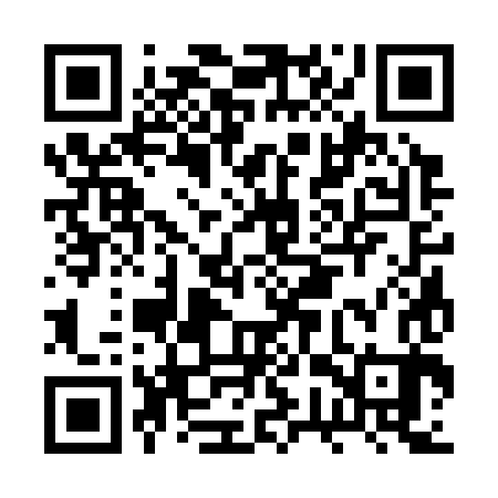 QR code for BWS383