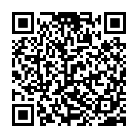 QR code for BXI250