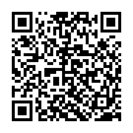 QR code for CAI913