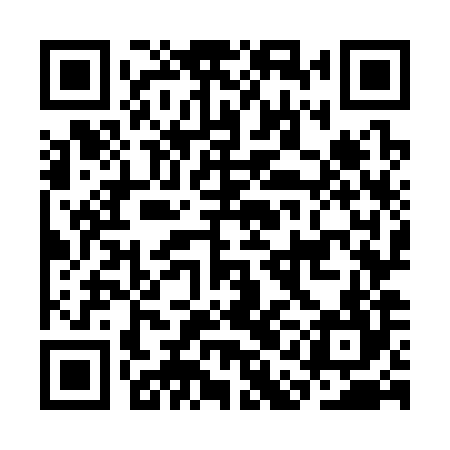 QR code for CAO384