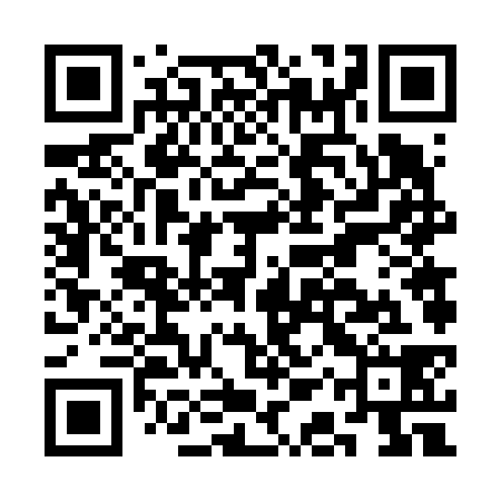 QR code for CAV638