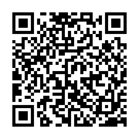 QR code for CDG313