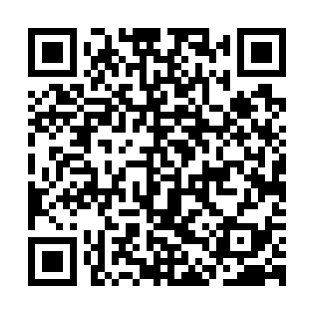 QR code for CDT739