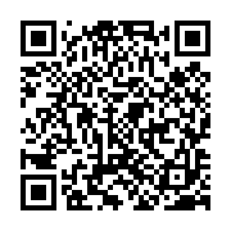 QR code for CFO493