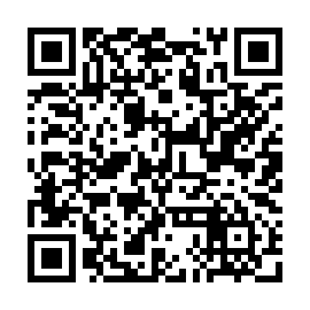 QR code for CHI995
