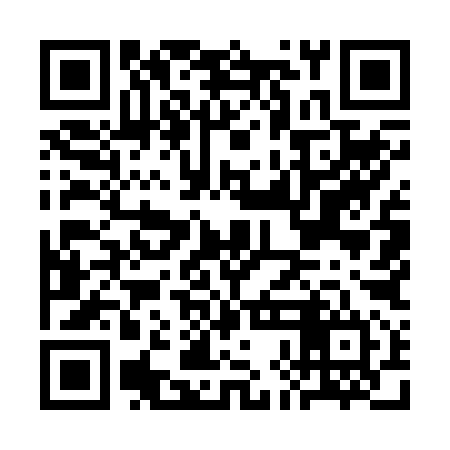 QR code for CHM294