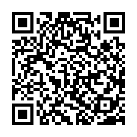 QR code for CHP338