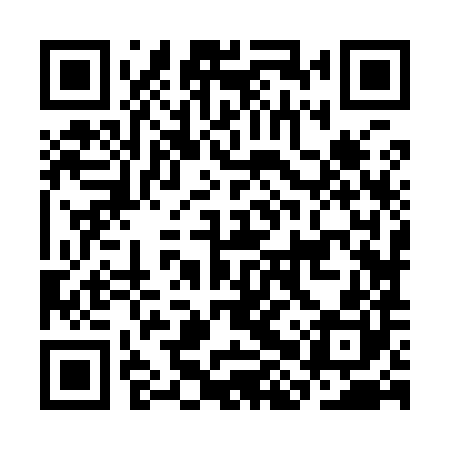 QR code for CHZ980