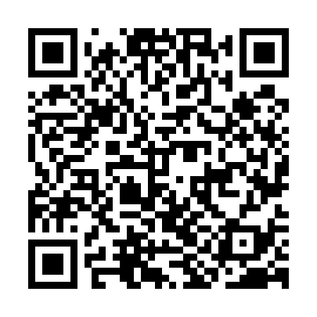 QR code for CIN539