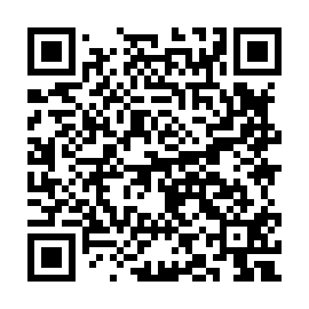 QR code for CIY811