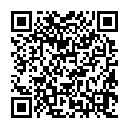 QR code for CMU387