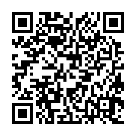 QR code for CNG384