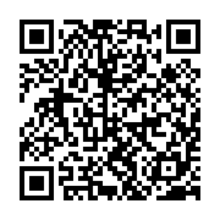 QR code for COQ095
