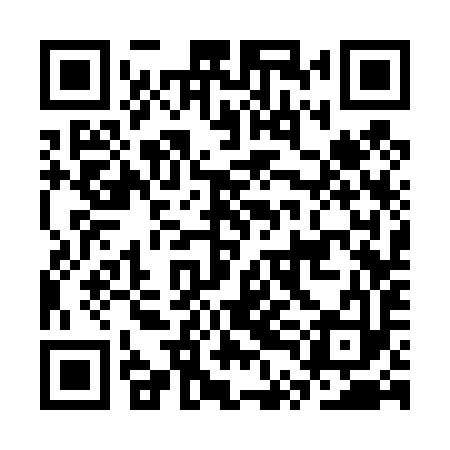 QR code for CTC493