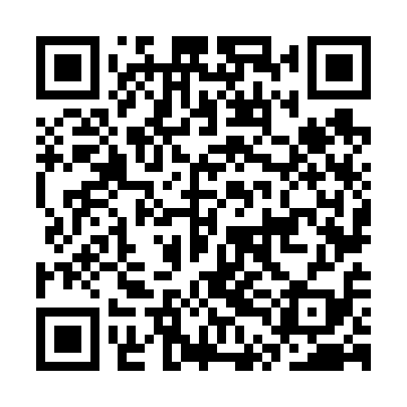 QR code for CTN619