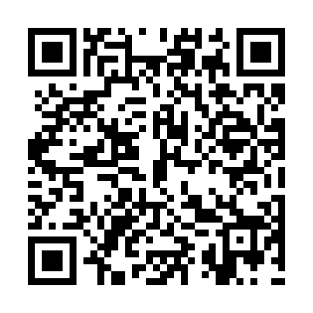 QR code for CYT208