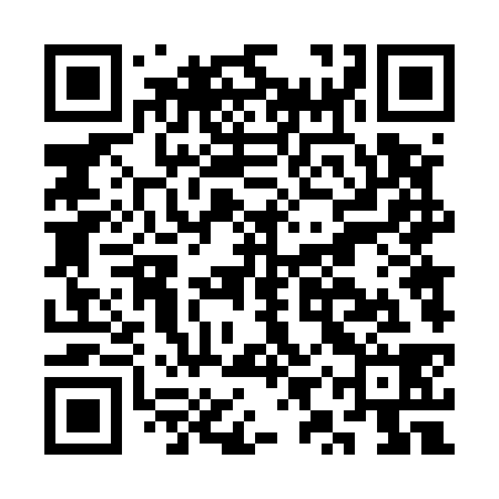 QR code for CYT538