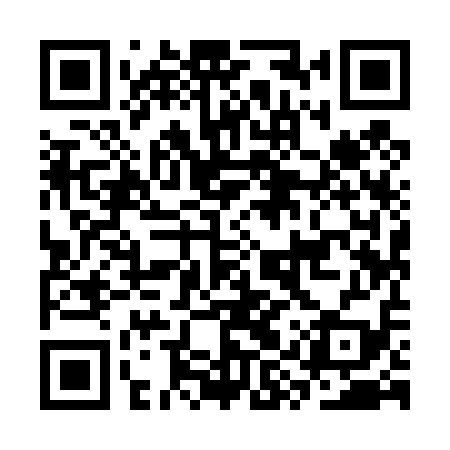 QR code for CYY419