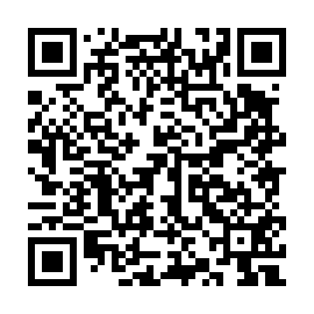 QR code for CZH451