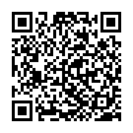 QR code for CZM391