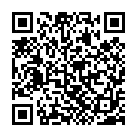 QR code for CZN413