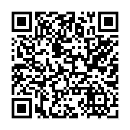 QR code for CZT295