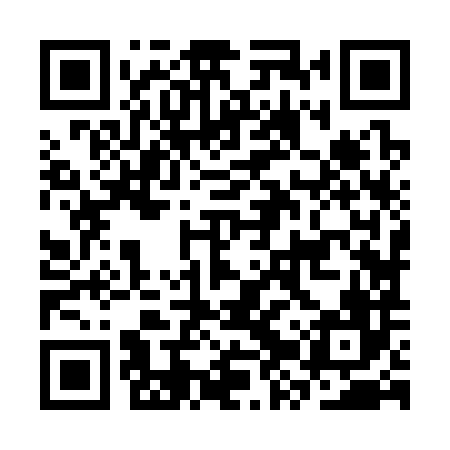 QR code for CZZ386