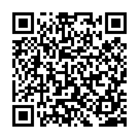 QR code for DAO454