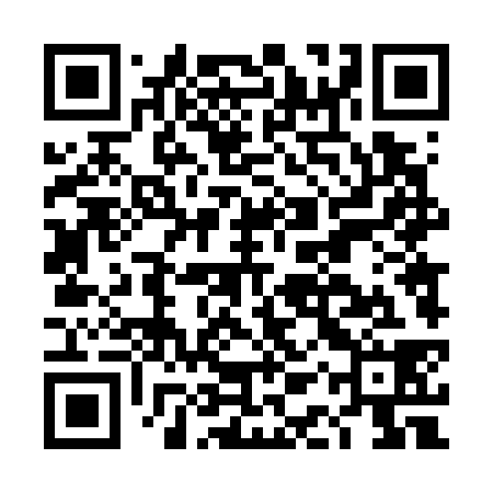 QR code for DAT738