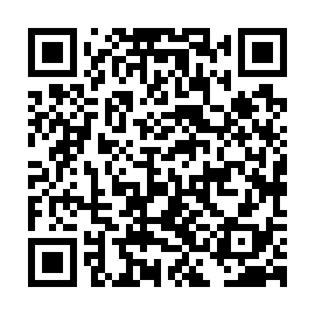 QR code for DCH738
