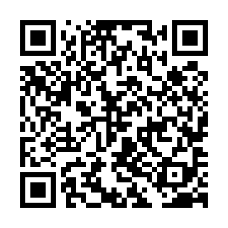 QR code for DDN599