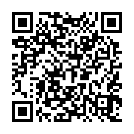 QR code for DDT343