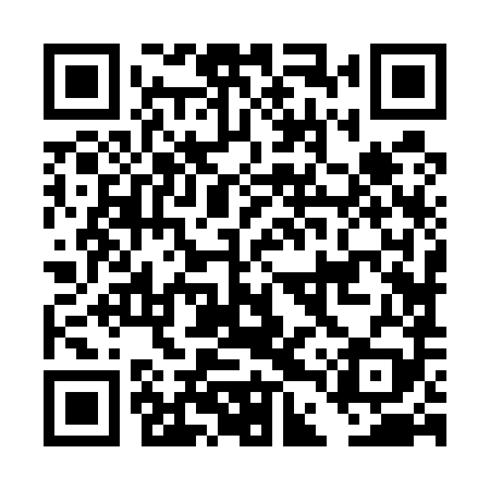 QR code for DDZ589