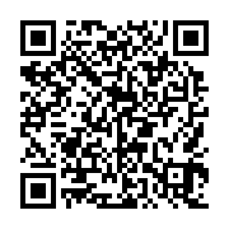 QR code for DEX341