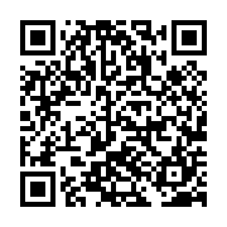 QR code for DFL004