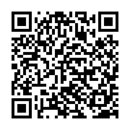 QR code for DFN295