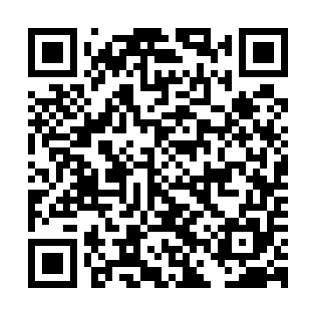 QR code for DFS555