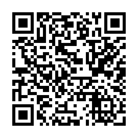 QR code for DFS994