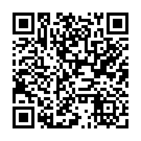 QR code for DGX333