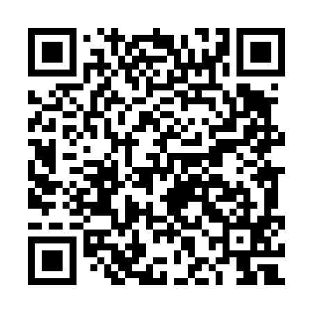 QR code for DHL495