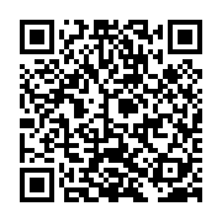QR code for DHS029