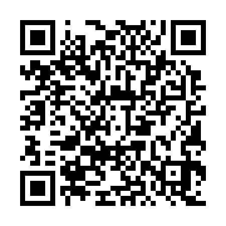 QR code for DHU333